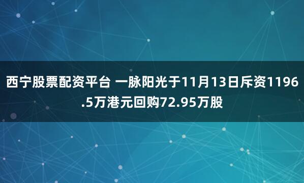 西宁股票配资平台 一脉阳光于11月13日斥资1196.5万港元回购72.95万股