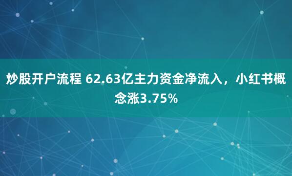 炒股开户流程 62.63亿主力资金净流入，小红书概念涨3.75%