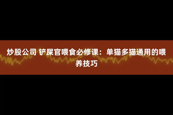 炒股公司 铲屎官喂食必修课：单猫多猫通用的喂养技巧